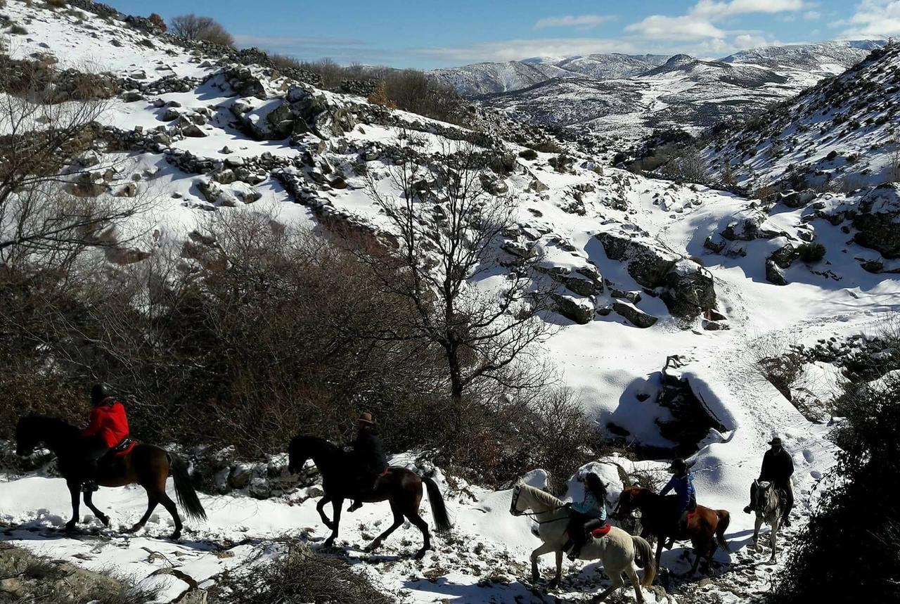 La Pasailla De Gredos Guest House Navacepeda de Tormes Екстериор снимка